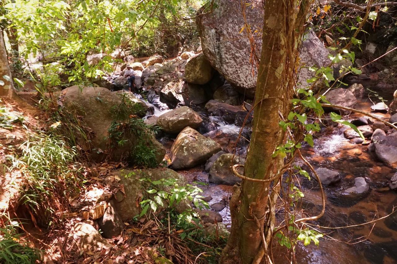 Retiyagama Eco Resort Teldeniya Buitenkant foto