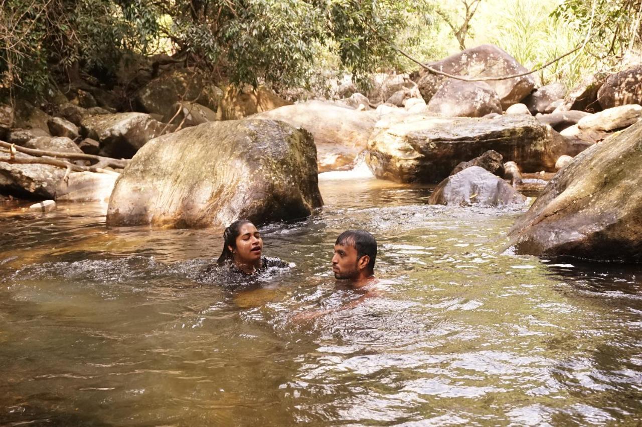 Retiyagama Eco Resort Teldeniya Buitenkant foto